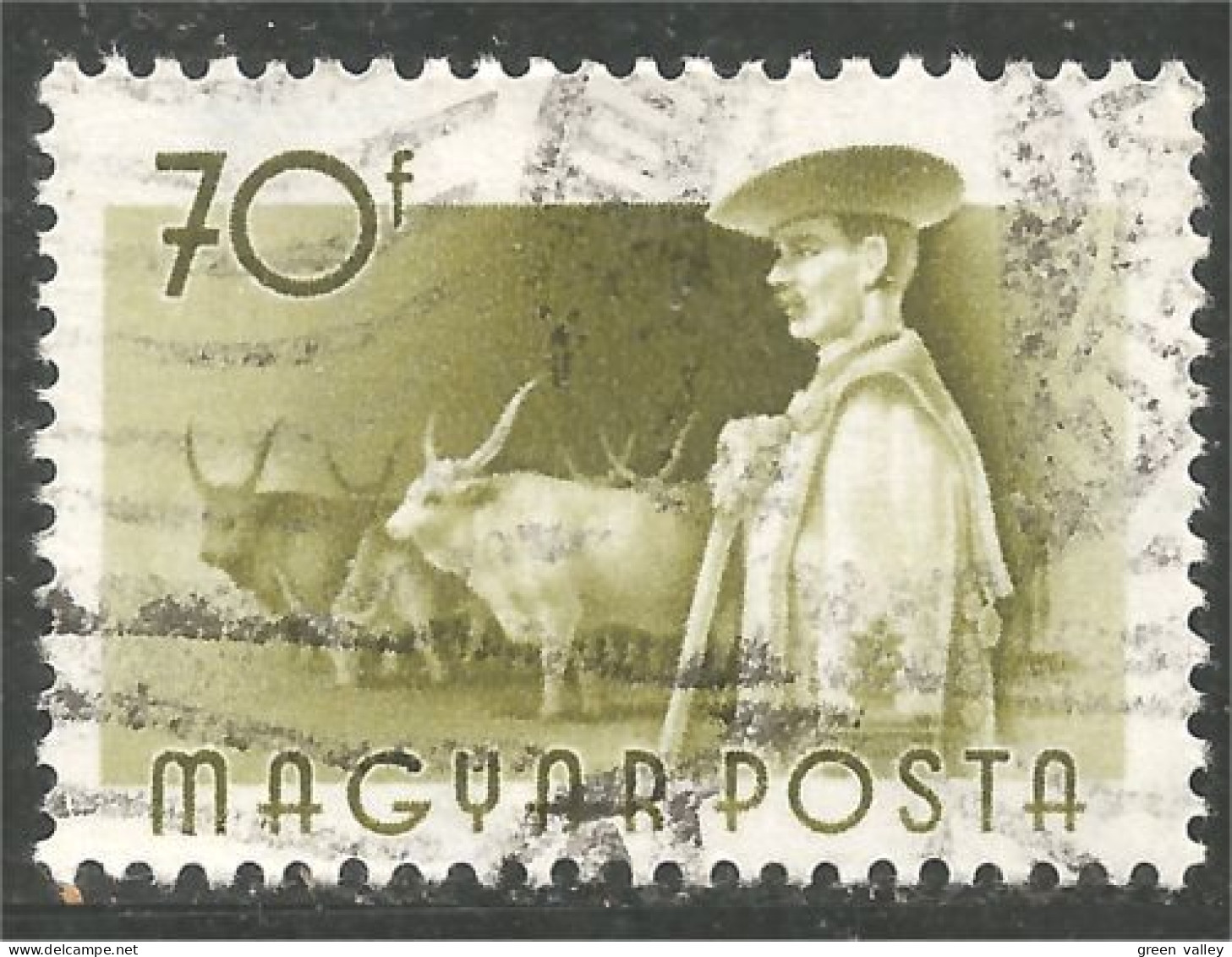 AF-179a Hongrie Vache Cow Kuh Koe Mucca Vacca Vaca - Kühe