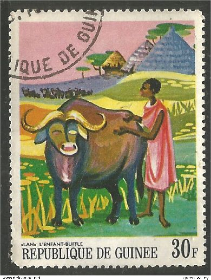 AF-49 Guinée Vache Cow Kuh Koe Mucca Vacca Vaca Taureau Bull - Vaches
