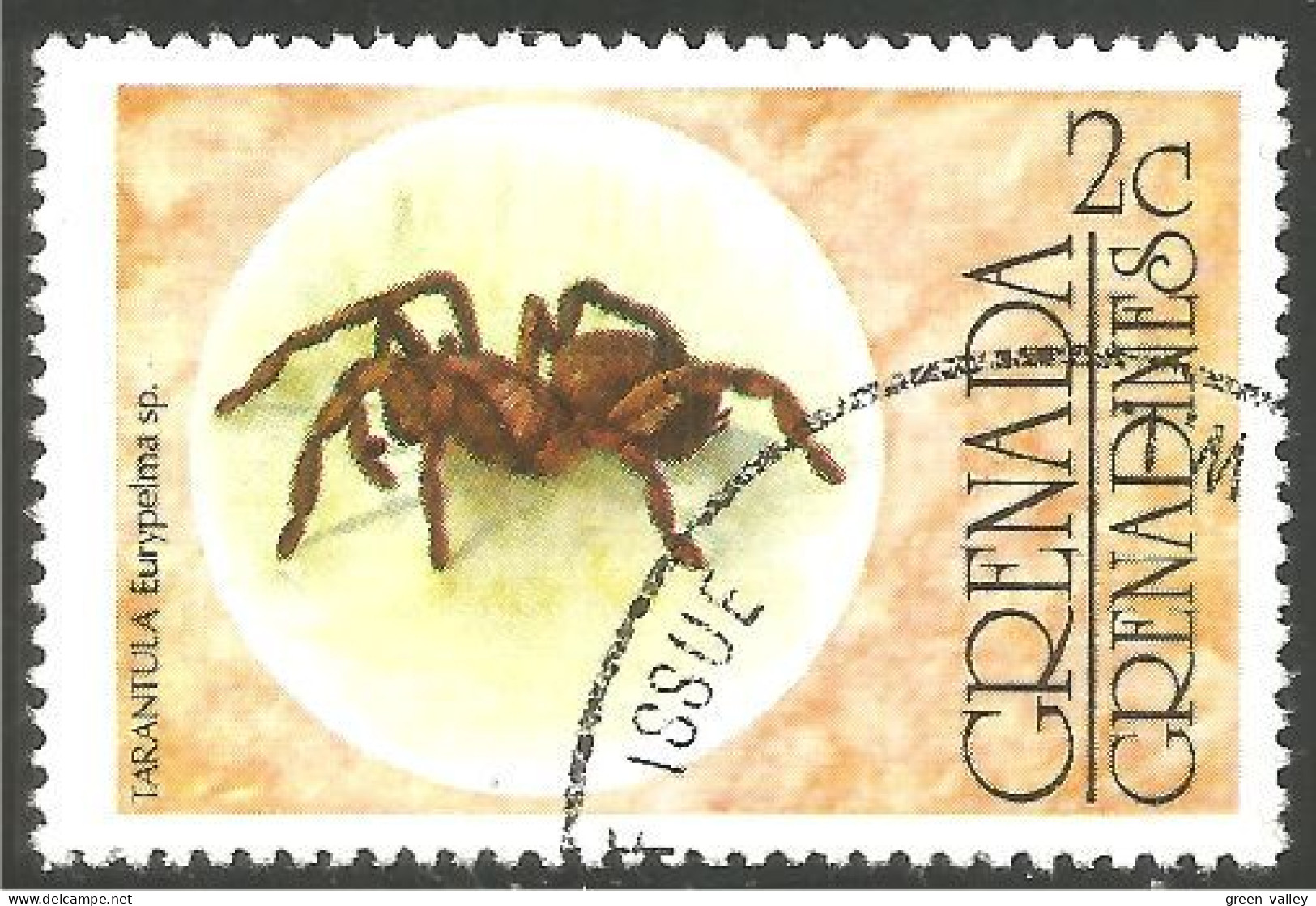 IN-41 Grenada Insecte Araignée Spider Ragno Araña Aranha Spin - Ragni