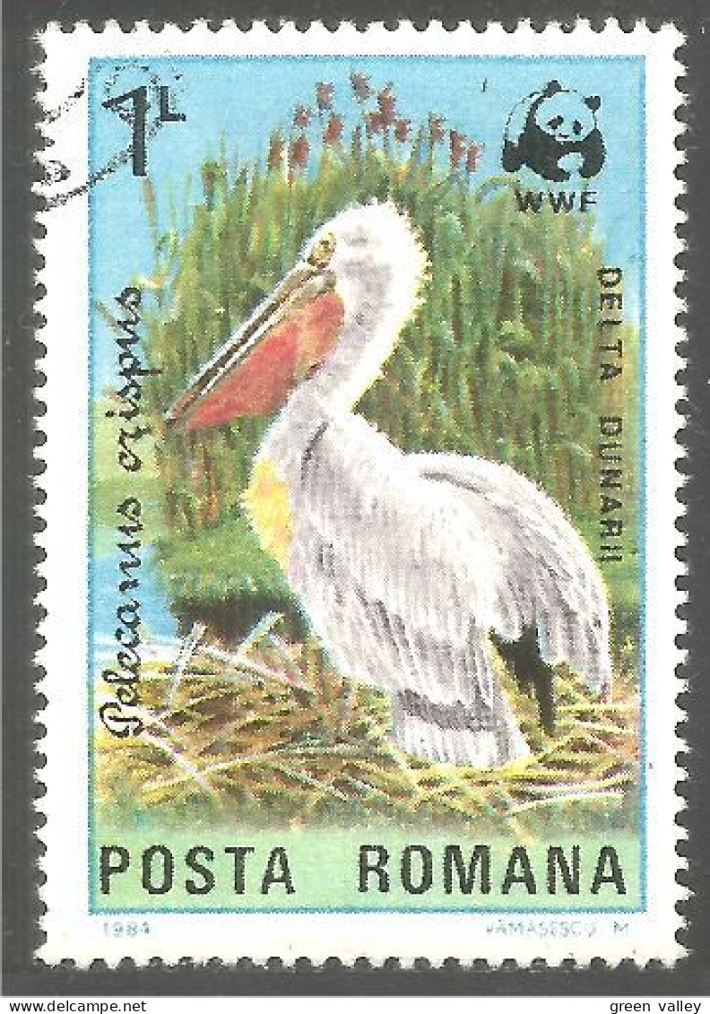 OI-131 Romania WWF Pelican Pelikan Pelikaan Pellicano Pelicano - Pelícanos
