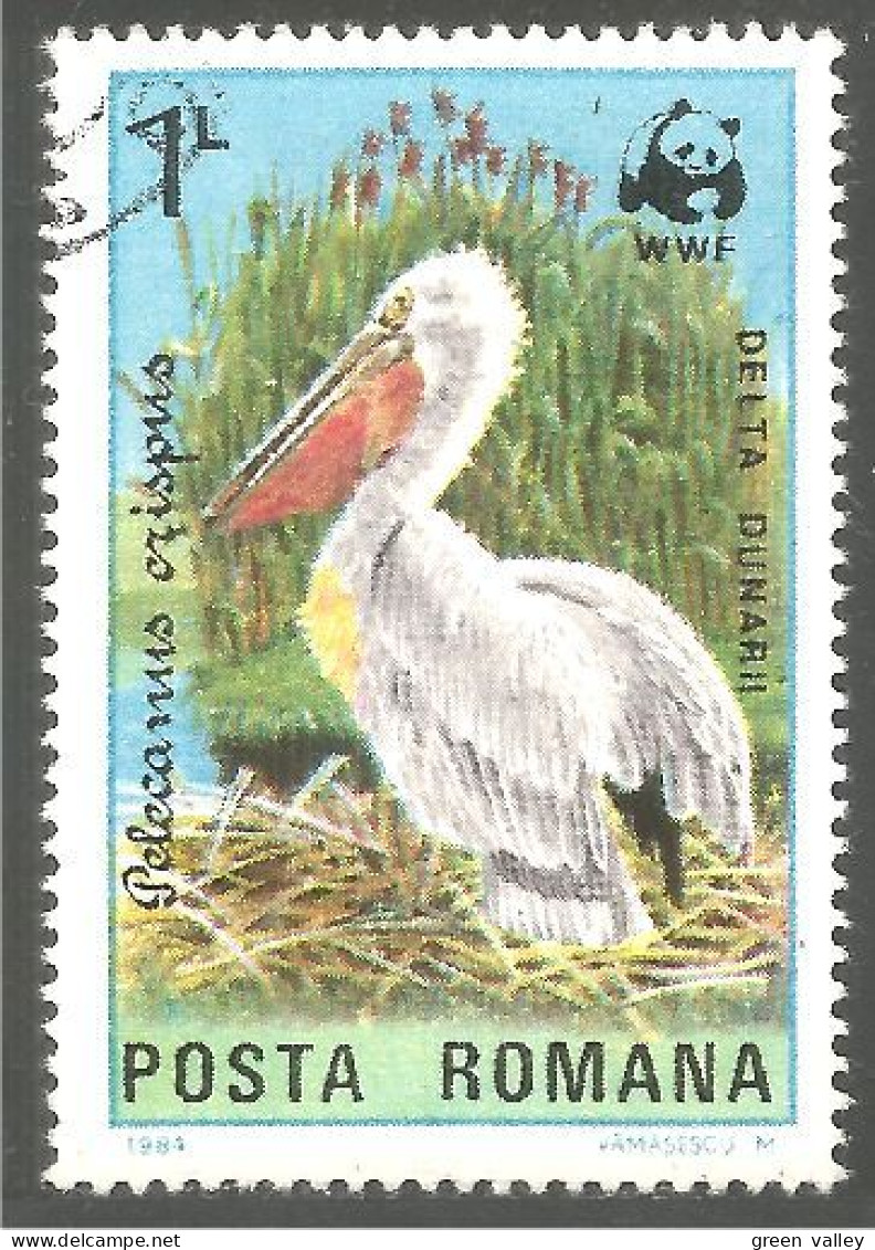 OI-131 Romania WWF Pelican Pelikan Pelikaan Pellicano Pelicano - Pelikane