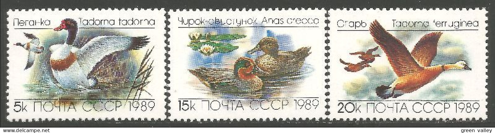 OI-117a Russie 1989 Canards Ducks Ente Anatra Pato Eend MNH ** Neuf SC - Patos