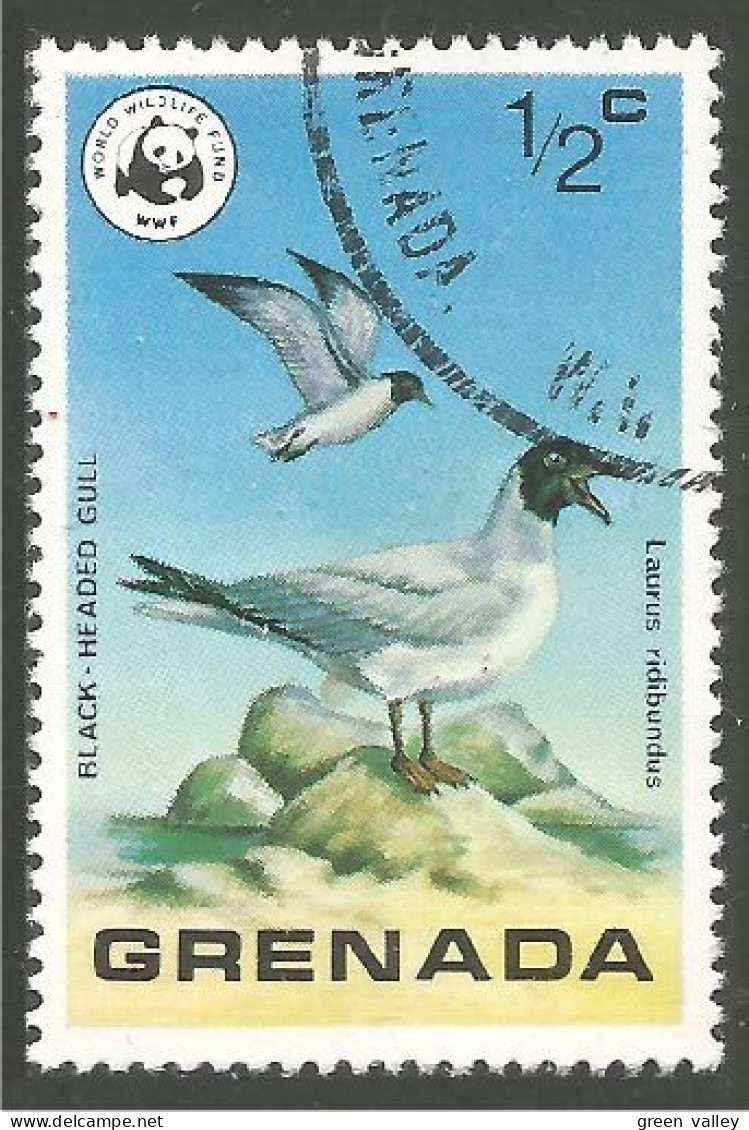 OI-65 Grenada WWF Gull Mouette Möwe Gabbiano - Seagulls