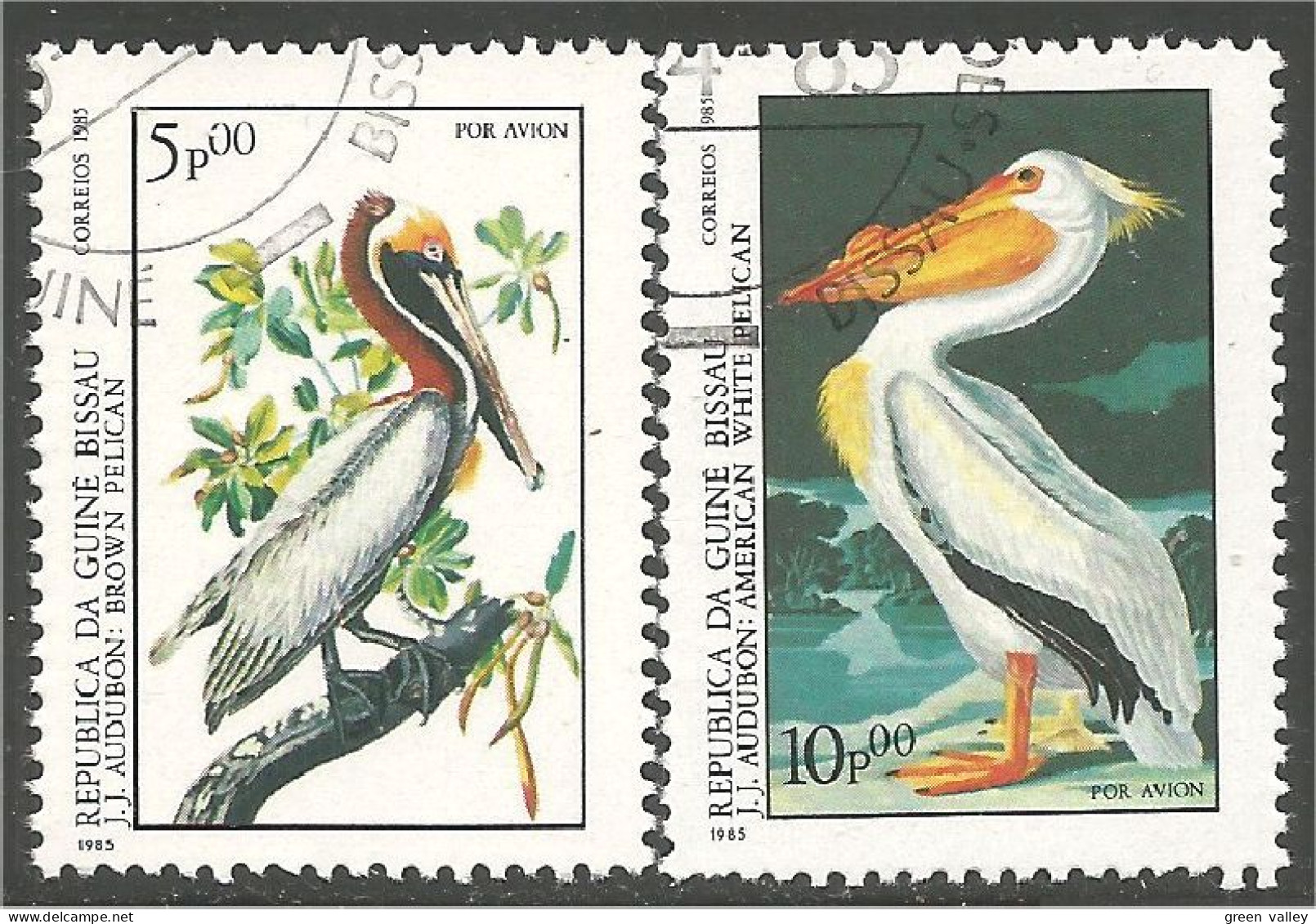 OI-51b Guinea Audubon Pelican Pelikan Pelikaan Pellicano Pelicano - Pelikane