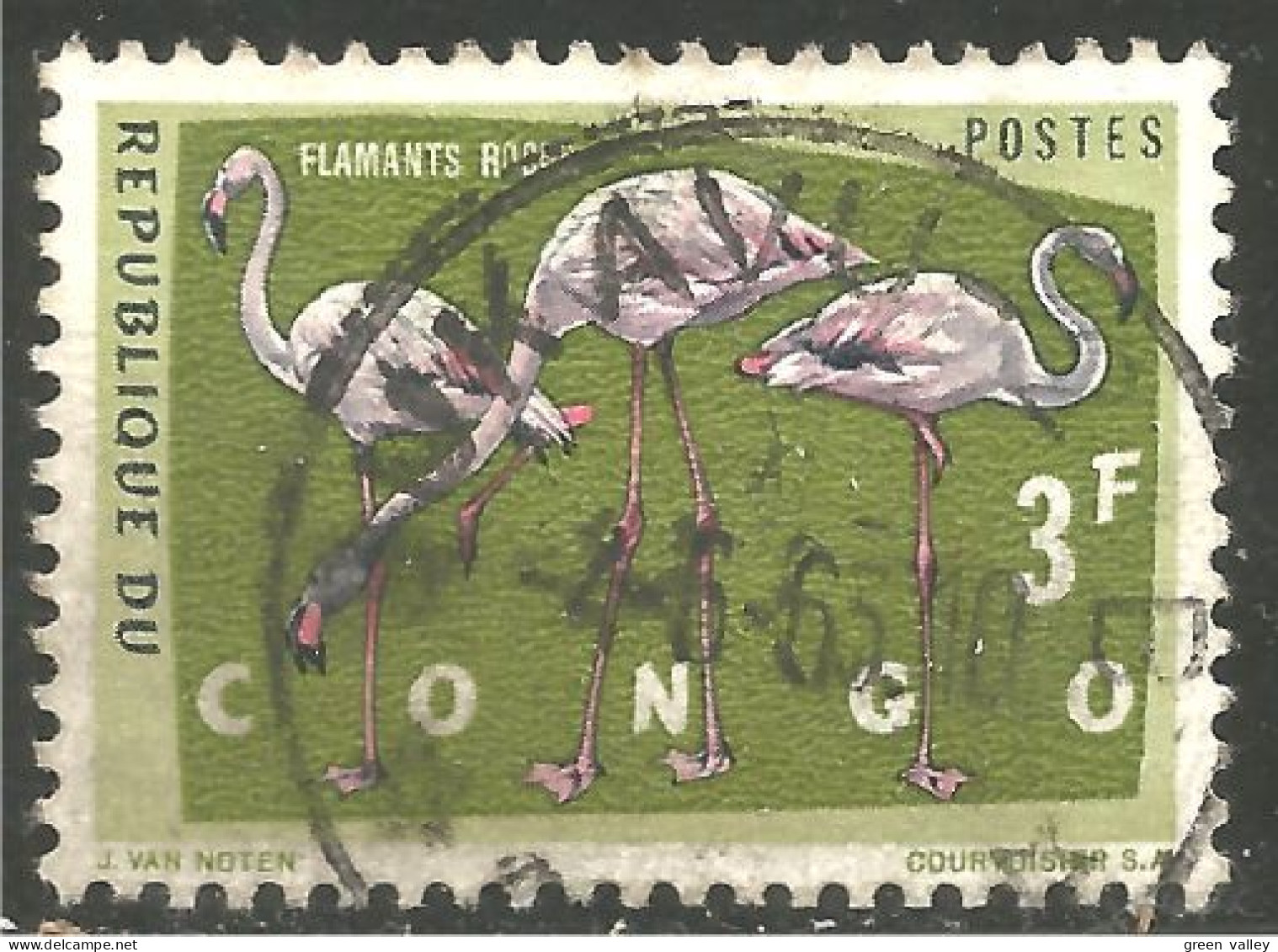 OI-30b Congo Flamant Rose Flamingo Flamenco Fenicottero - Flamingo's