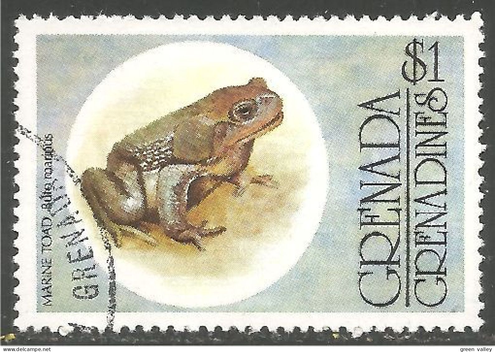 RP-15b Grenada Grenouille Frog Rana Kikker Frosch - Kikkers