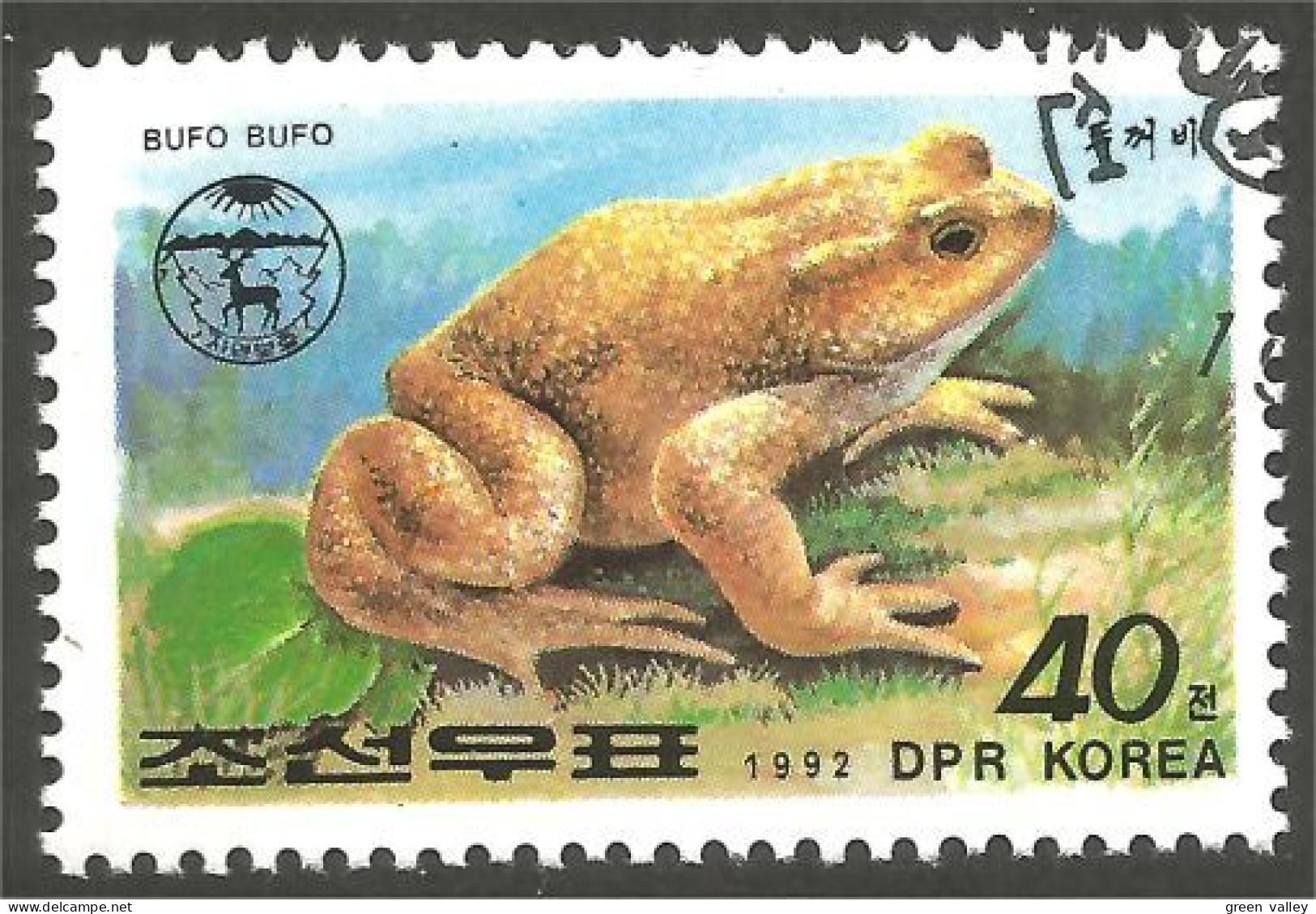 RP-4 Corée Grenouille Frog Rana Kikker Frosch - Kikkers