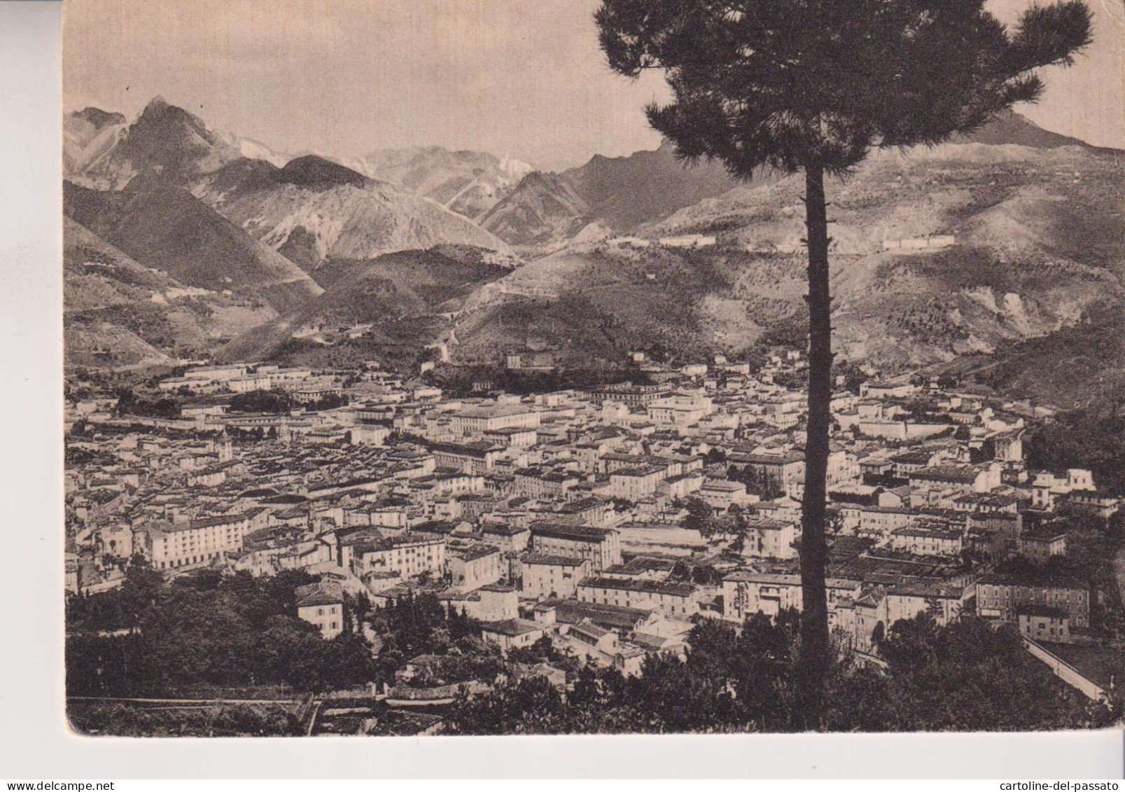 CARRARA  PANORAMA  VG  1958 - Carrara