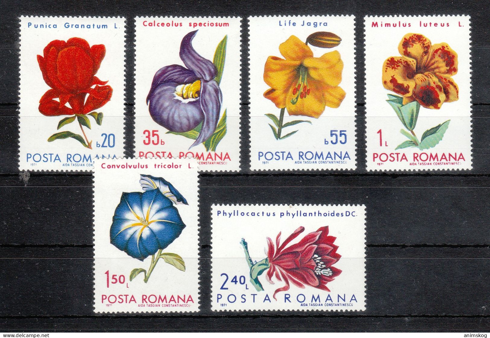 Rumänien 1971**, Blumen Aus Bot. Gärten, Kaktus / Romania 1971, MNH, Flowers From Bot. Gardens, Cactus - Cactusses