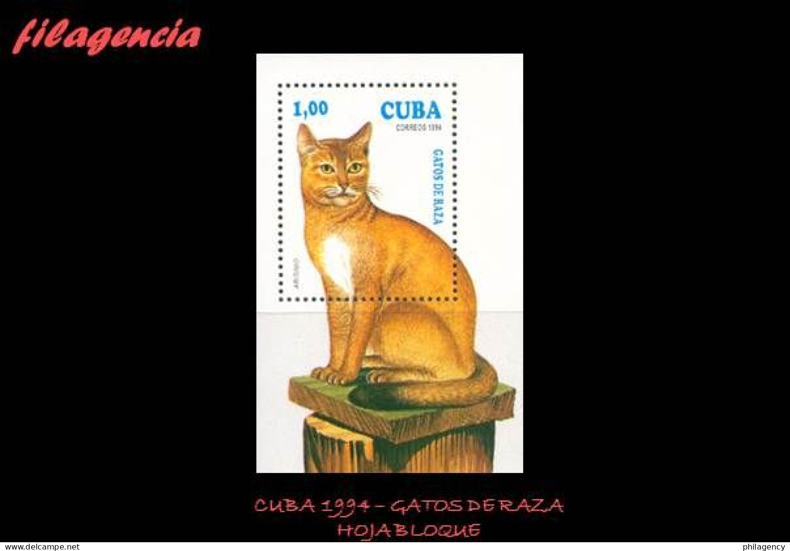 CUBA MINT. 1994-03 FAUNA. GATOS DE RAZA. HOJA BLOQUE - Unused Stamps