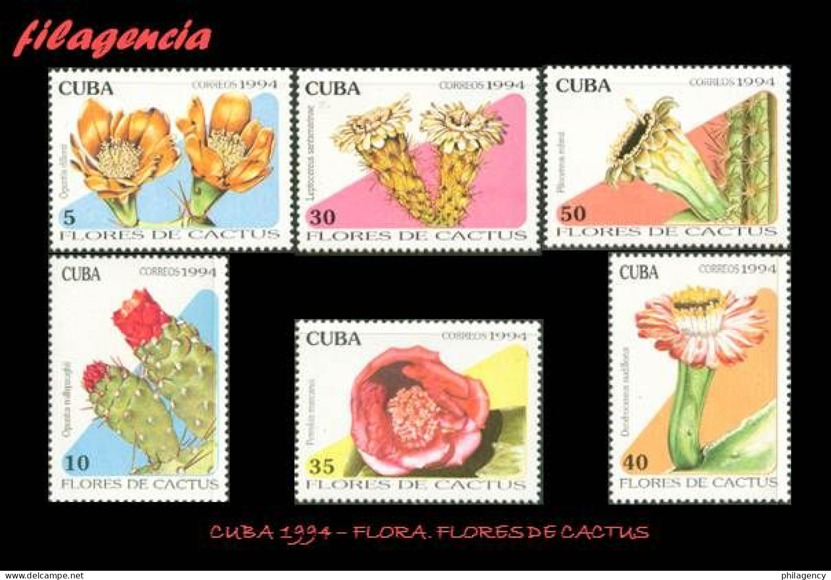 CUBA MINT. 1994-09 FLORA. FLORES DE CACTUS - Unused Stamps