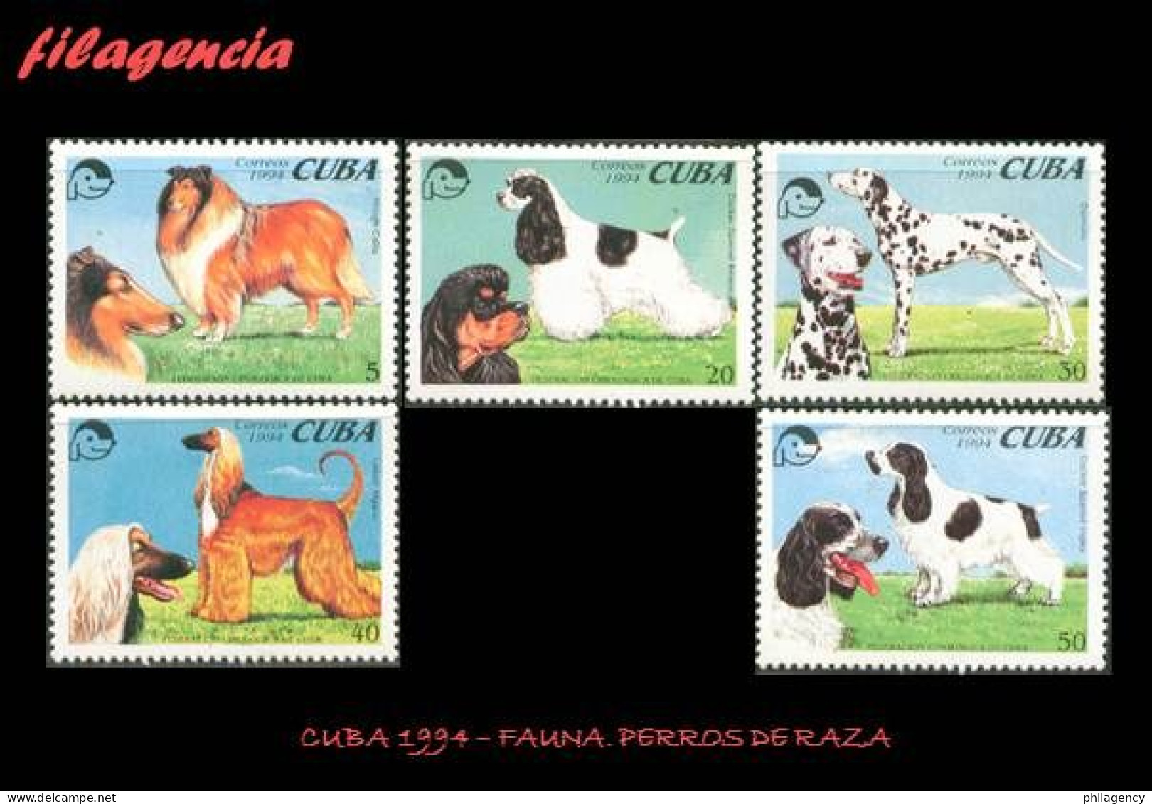 CUBA MINT. 1994-11 FAUNA. PERROS DE RAZA - Unused Stamps