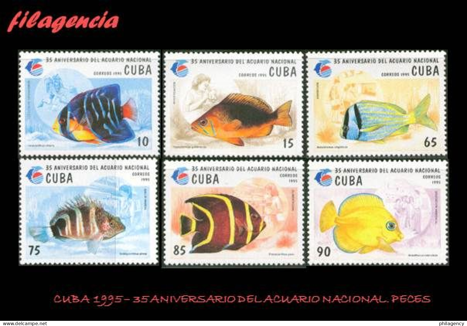 CUBA MINT. 1995-06 35 ANIVERSARIO DEL ACUARIO NACIONAL. PECES - Unused Stamps