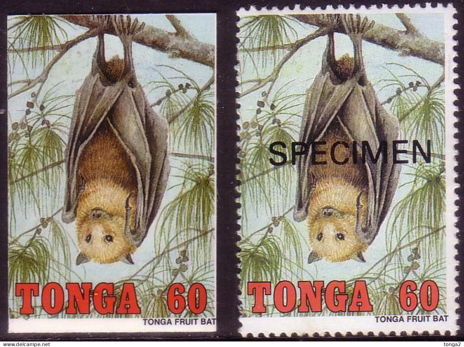 Tonga 1992 Cromalin Proof  + Specimen - Bat - 4 Exist - More Details In Description - Pipistrelli