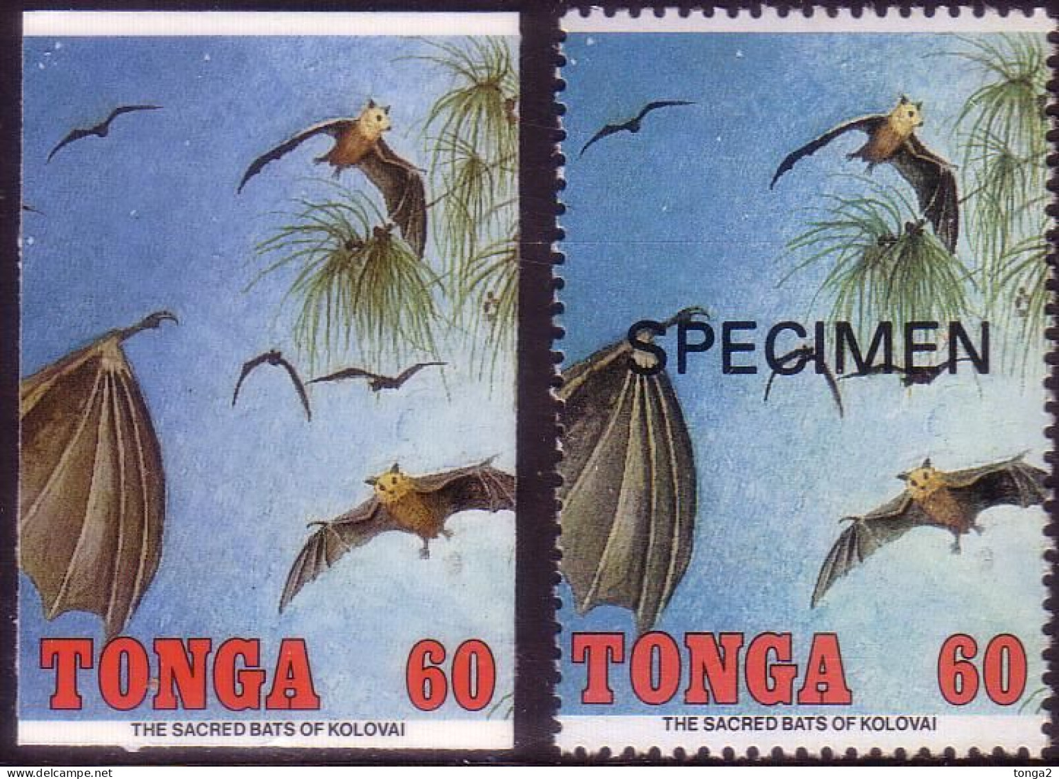 Tonga 1992 Cromalin Proof  + Specimen - Bat - 4 Exist - More Details In Description - Pipistrelli