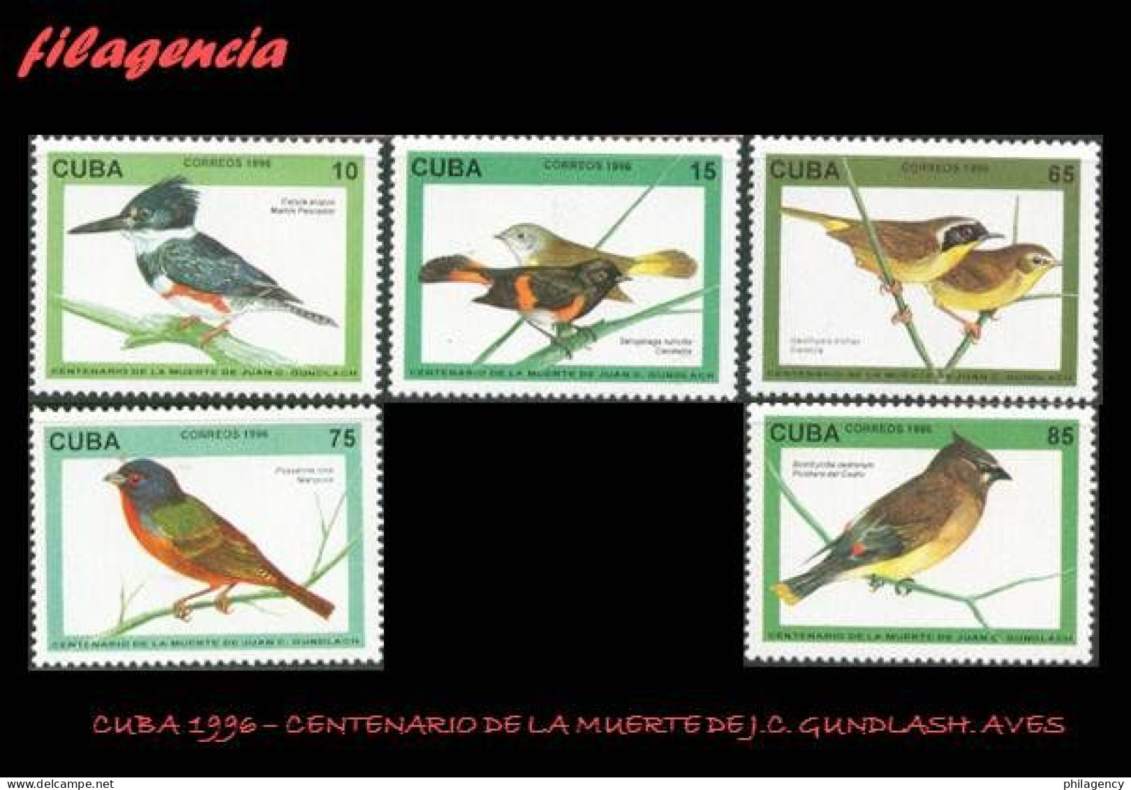 CUBA MINT. 1996-07 CENTENARIO DE LA MUERTE DE J.C. GUNDLASH. FAUNA. AVES - Unused Stamps