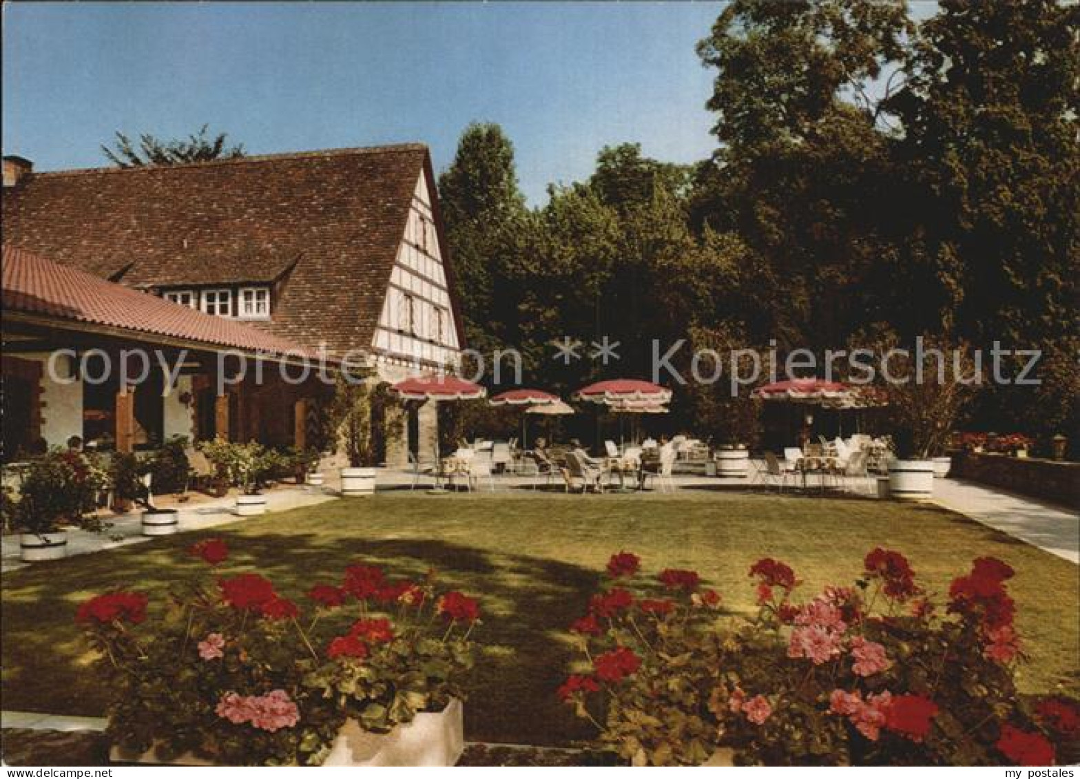 72433809 Heinsheim Baden Hotel Schloss Restaurant Terrasse Bad Rappenau - Bad Rappenau