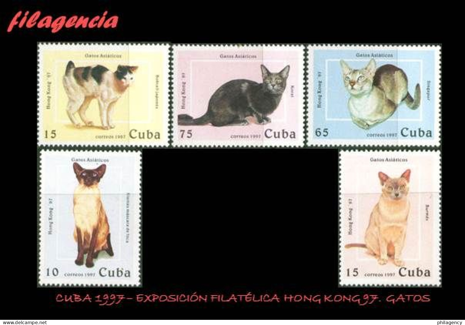 CUBA MINT. 1997-01 EXPOSICIÓN FILATÉLICA HONG KONG 97. GATOS DE RAZA - Nuevos