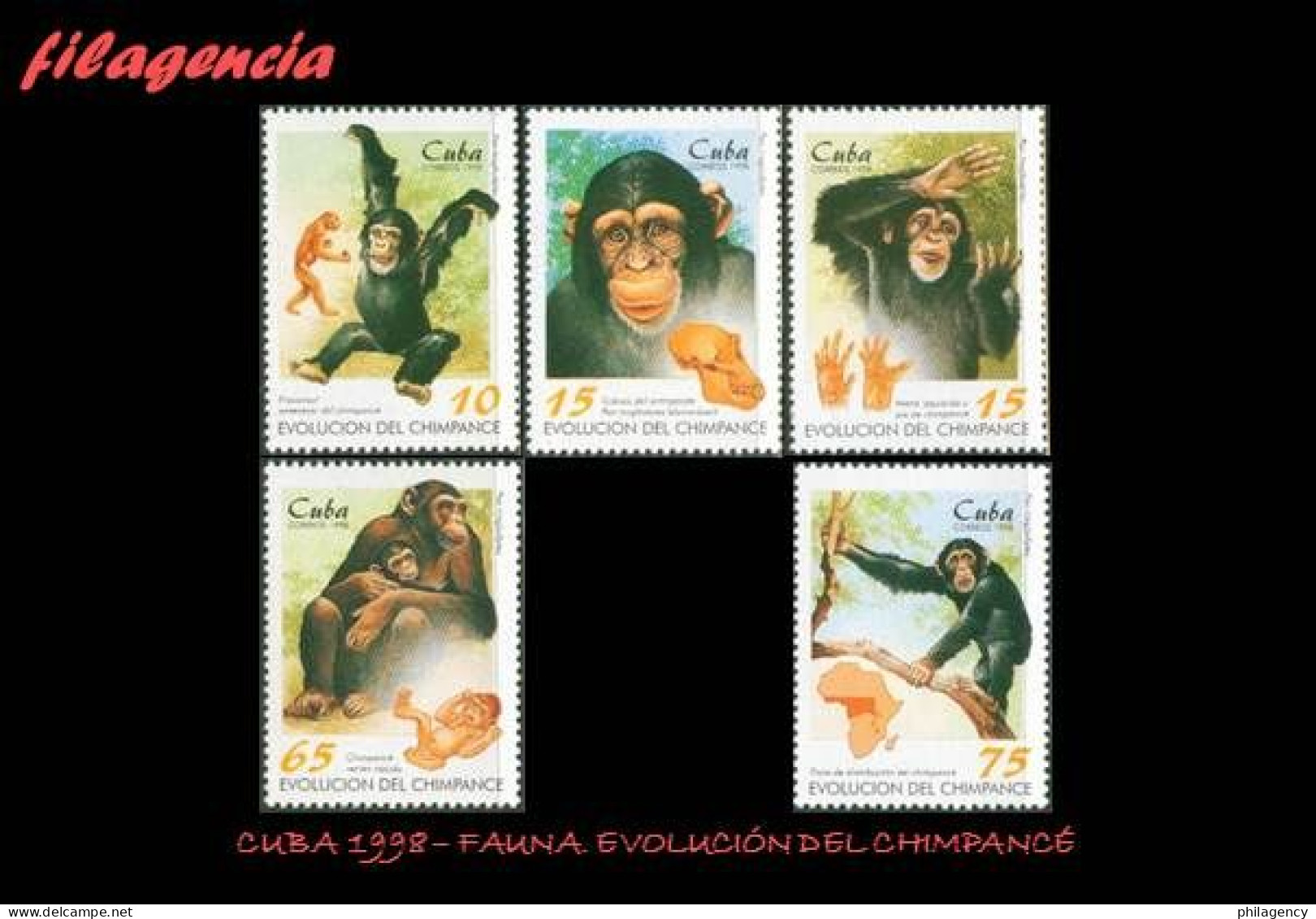 CUBA MINT. 1998-12 FAUNA. EVOLUCIÓN DEL CHIMPANCÉ - Unused Stamps