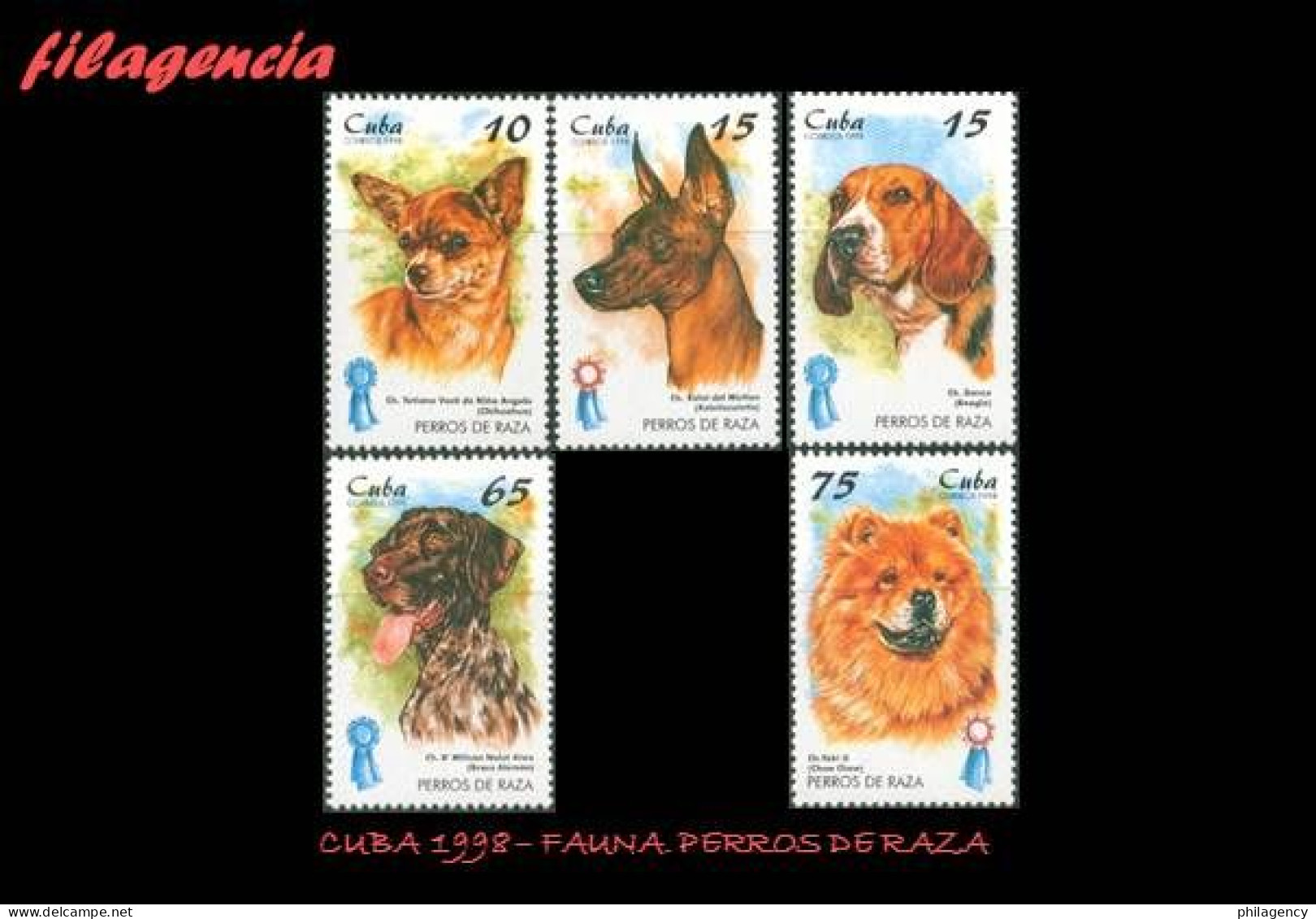 CUBA MINT. 1998-11 FAUNA. PERROS DE RAZA - Unused Stamps