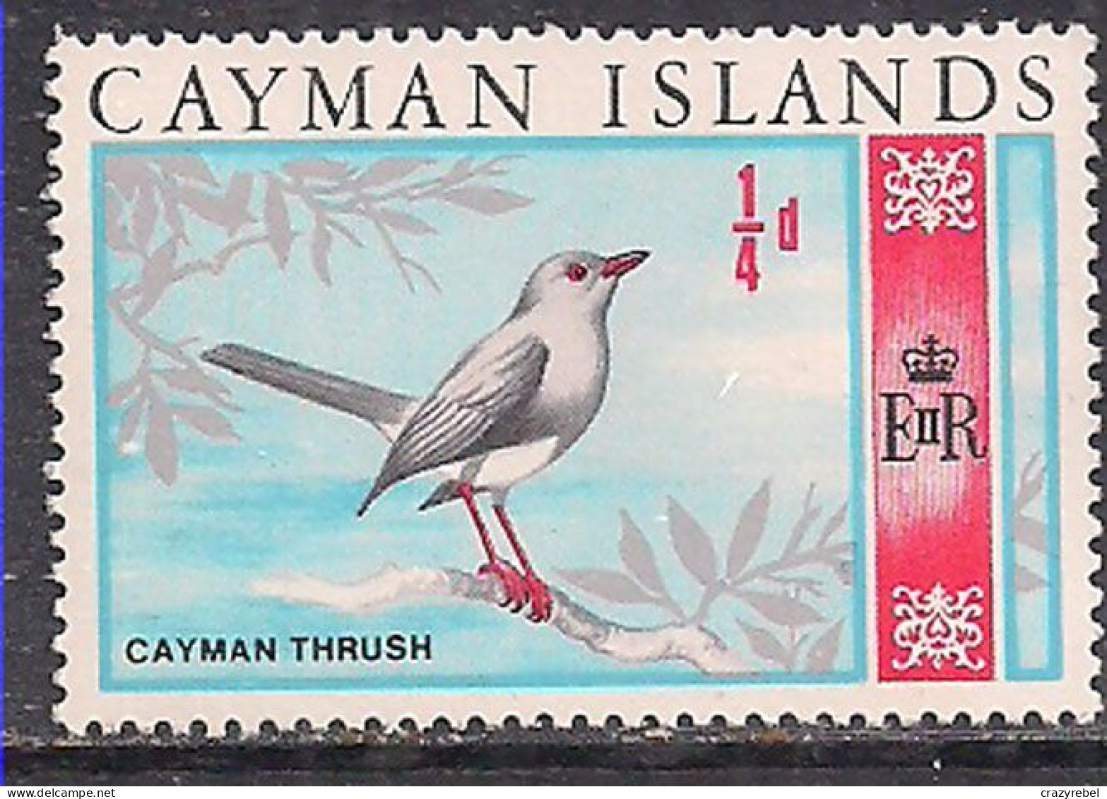 Cayman Islands 1969 QE2 1/4d Cayman Thrush MNH SG 222 ( L843 ) - Cayman Islands