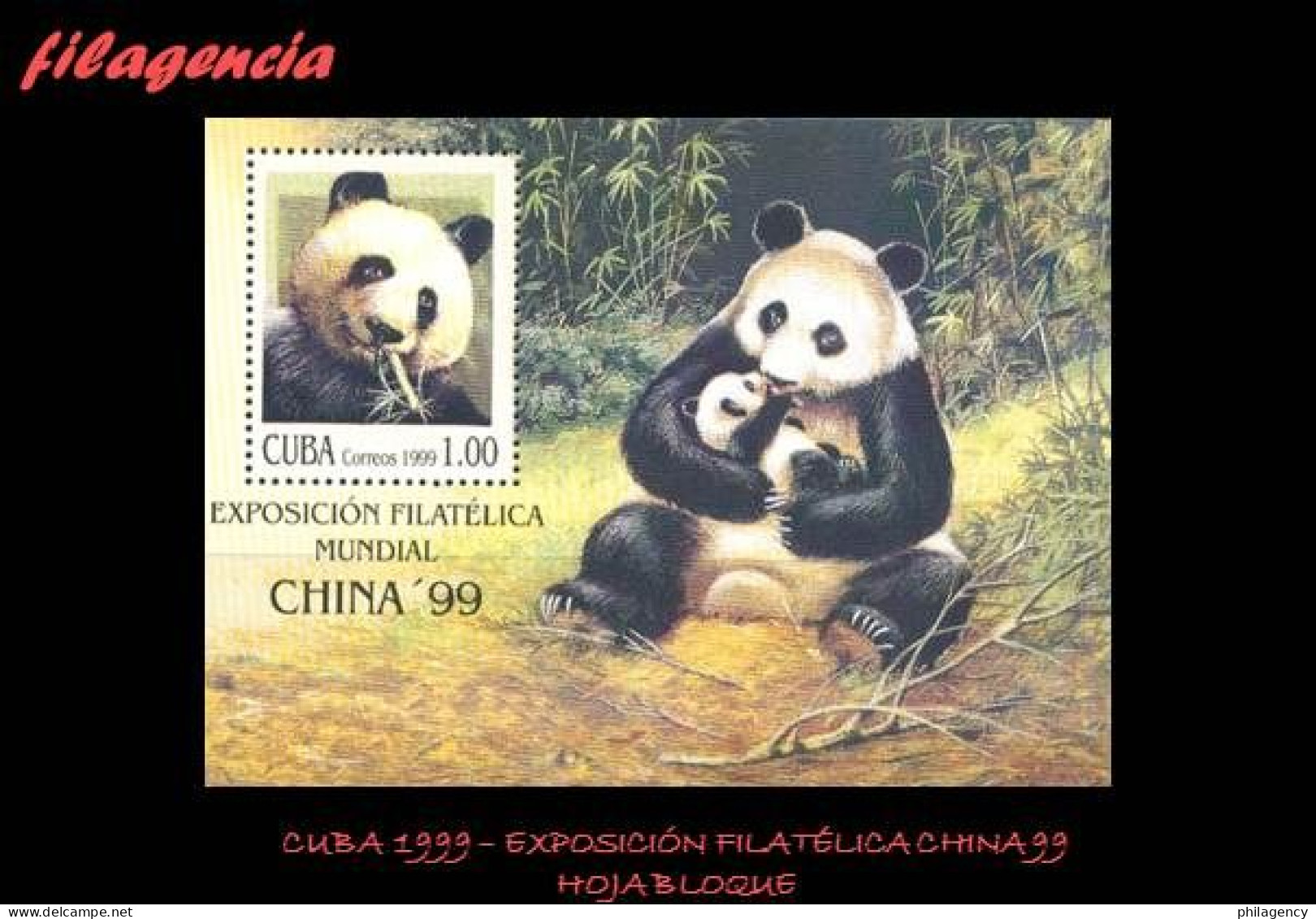 CUBA MINT. 1999-10 EXPOSICIÓN FILATÉLICA CHINA 99. FAUNA. OSO PANDA. HOJA BLOQUE - Unused Stamps