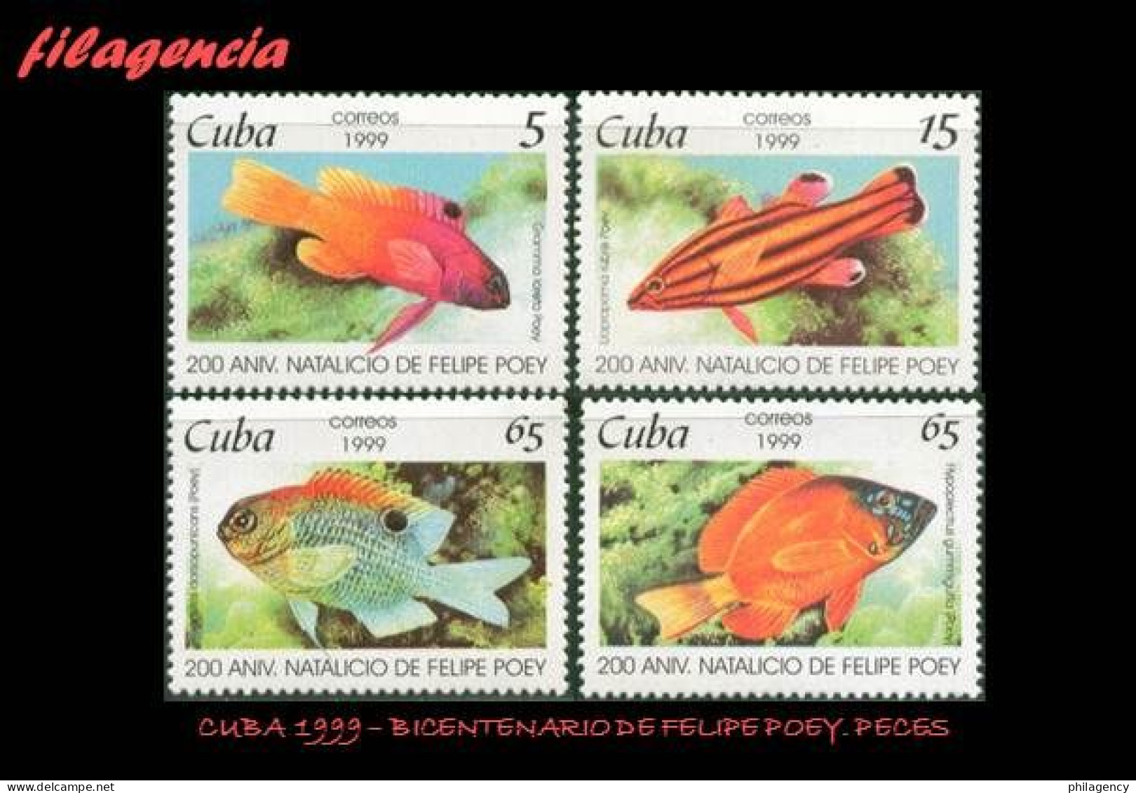 CUBA MINT. 1999-15 BICENTENARIO DEL NATURALISTA CUBANO FELIPE POEY. PECES - Unused Stamps