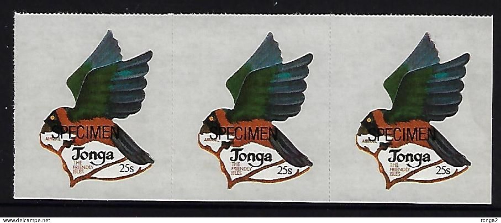 Tonga Specimen Strip - Parrot - Bird - Papagayos