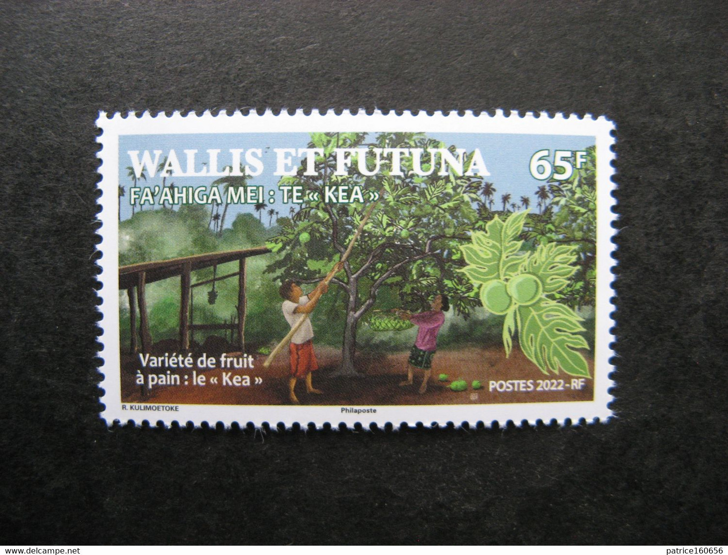 Wallis Et Futuna: TB N° 953,  Neuf XX . - Neufs