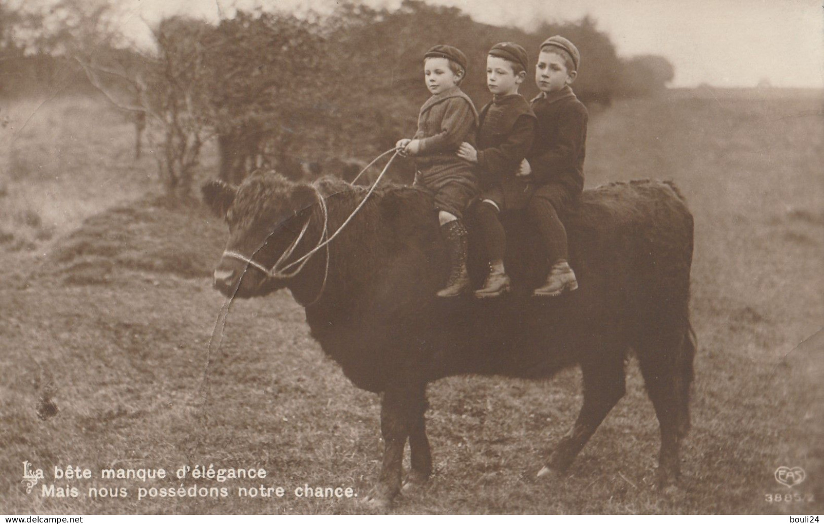 VIL2024 -   ENFANTS ASSIS SUR UN TAUREAU   LA BETE MANQUE D'ELEGANCE CPA  CIRCULEE - Bull