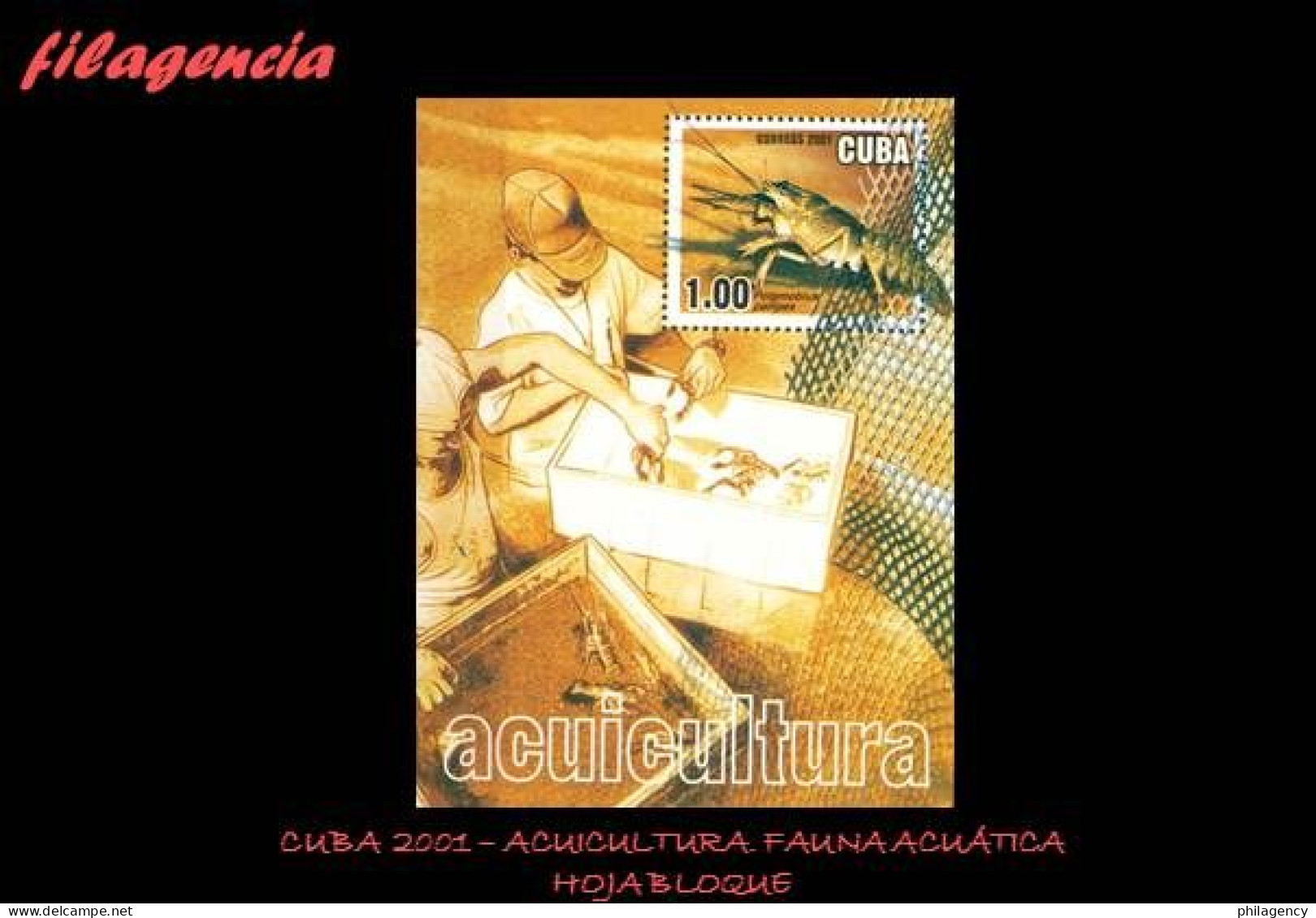 CUBA MINT. 2001-15 ACUICULTURA. FAUNA ACUÁTICA. HOJA BLOQUE - Nuevos