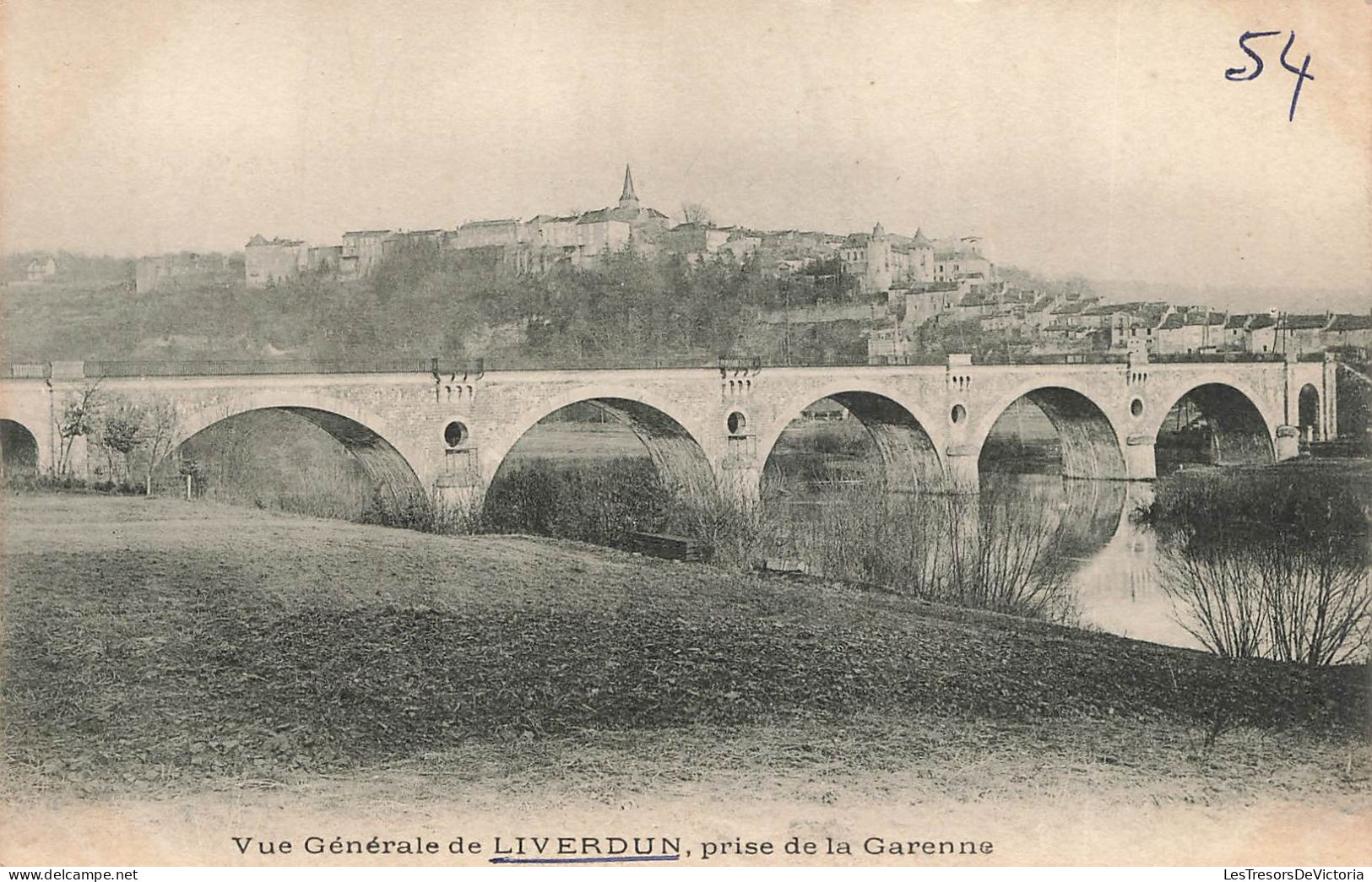 FRANCE - Vue Générale De Liverdun - Prise De La Carenne - Carte Postale Ancienne - Liverdun