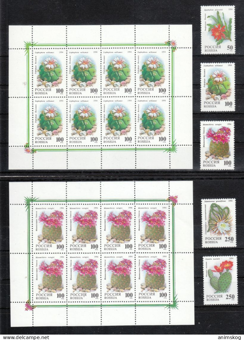 Russland 1994**, Kakteen  / Russia 1994, MNH, Cacti - Sukkulenten