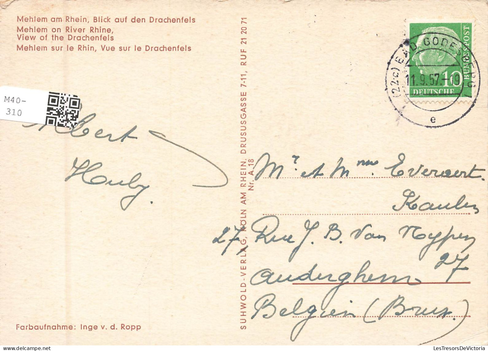 ALLEMAGNE - Mehlem Am Rhein, Auf Den Drachenfels - Mehlem Von River Shine - Carte Postale - Bonn