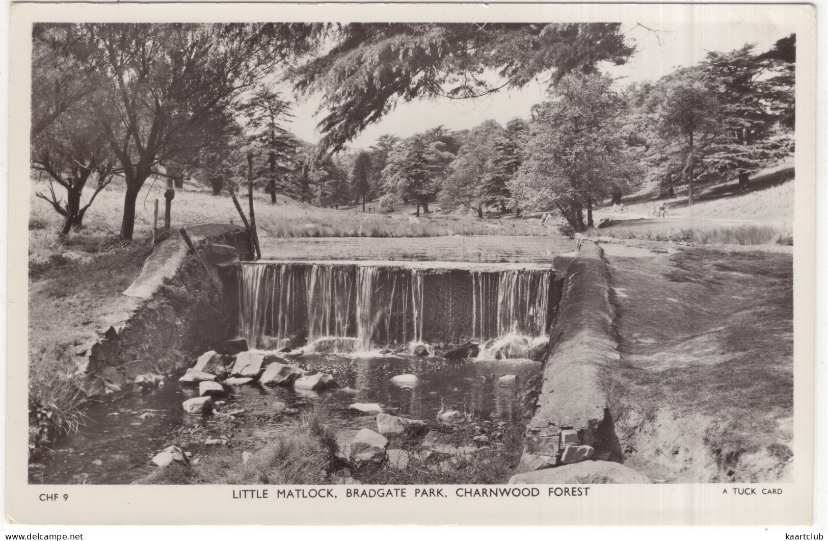 Little Matlock, Bradgate Park. Charnwood Forest - (England, U.K.) - Tuck's Postcard - Otros & Sin Clasificación