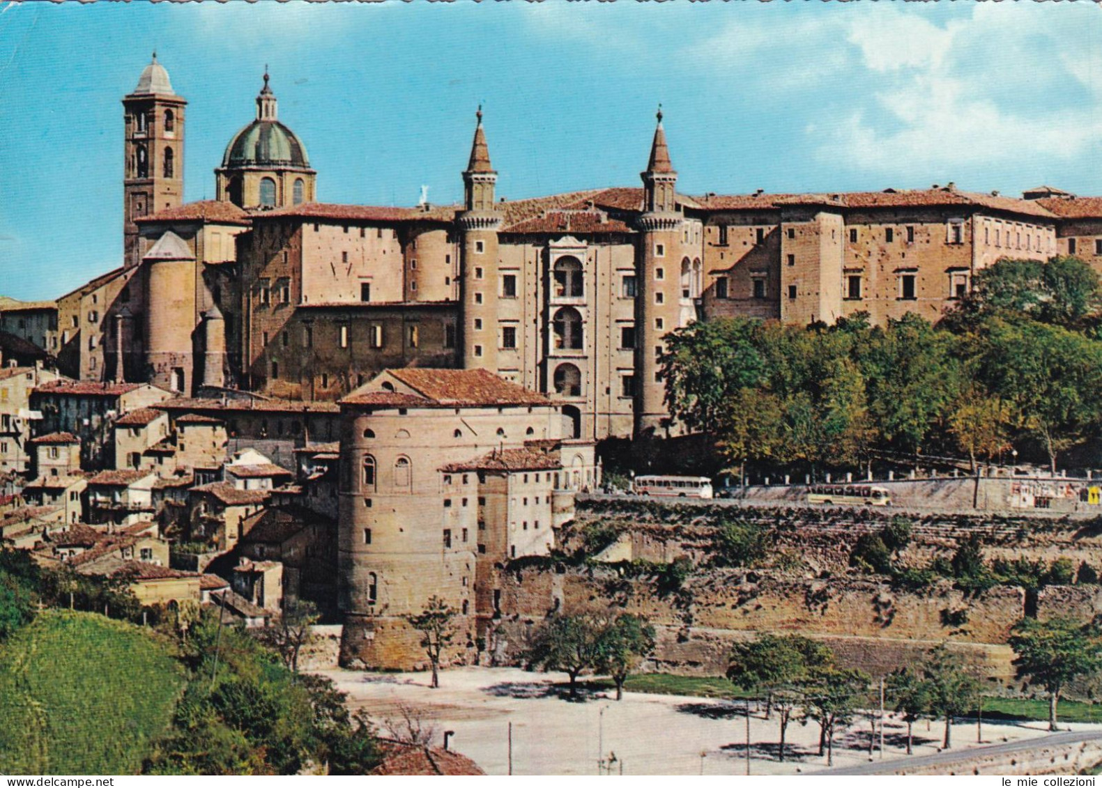 Cartolina Urbino - Panorama - Urbino