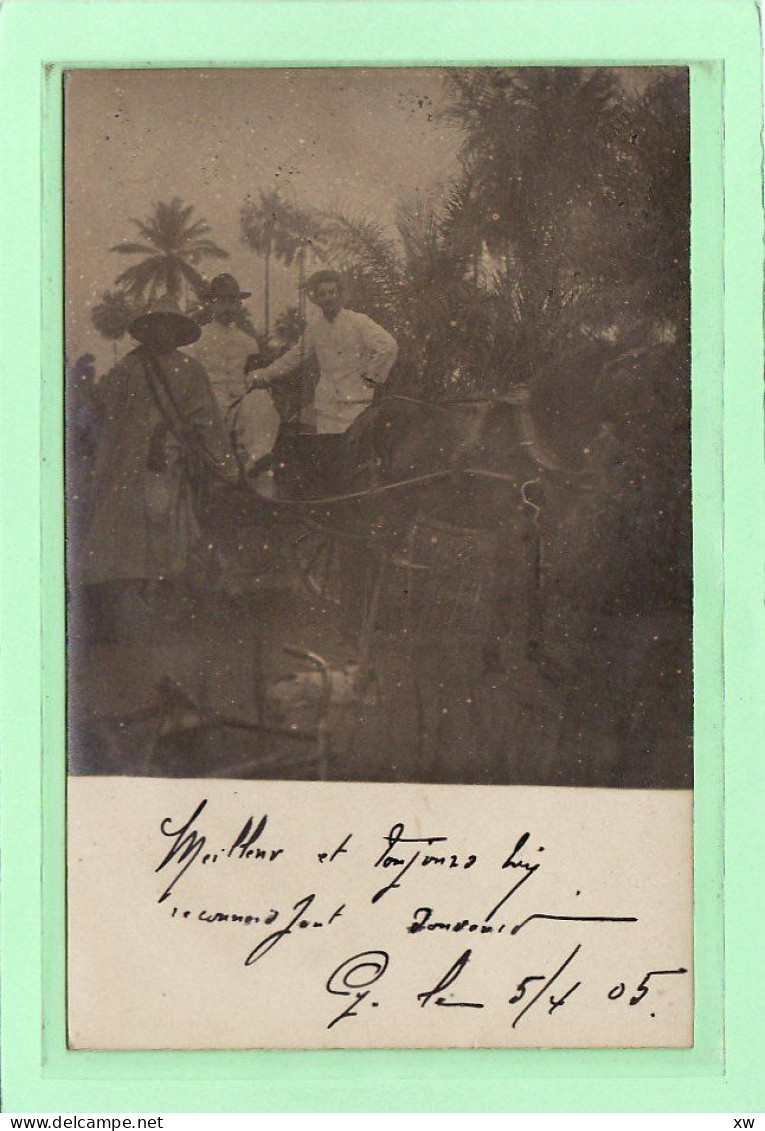 AFRIQUE - GUINEE FRANCAISE - CONAKRY - CARTE PHOTO - Attelage Est Coloniaux Dans La Brousse - C7272/73 - Guinée Française