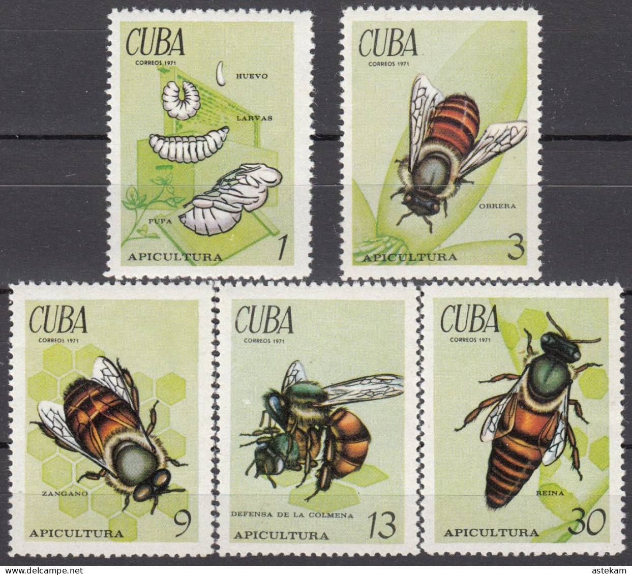 CUBA 1971, FAUNA, BEES, COMPLETE MNH SERIES With GOOD QUALITY, *** - Unused Stamps