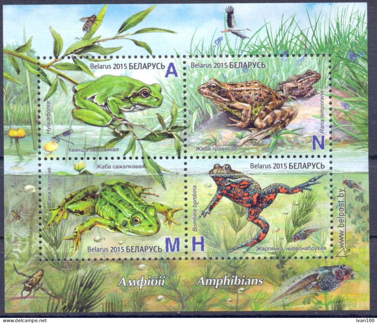 2015. Belarus, Amphibies, S/s, Mint/** - Belarus