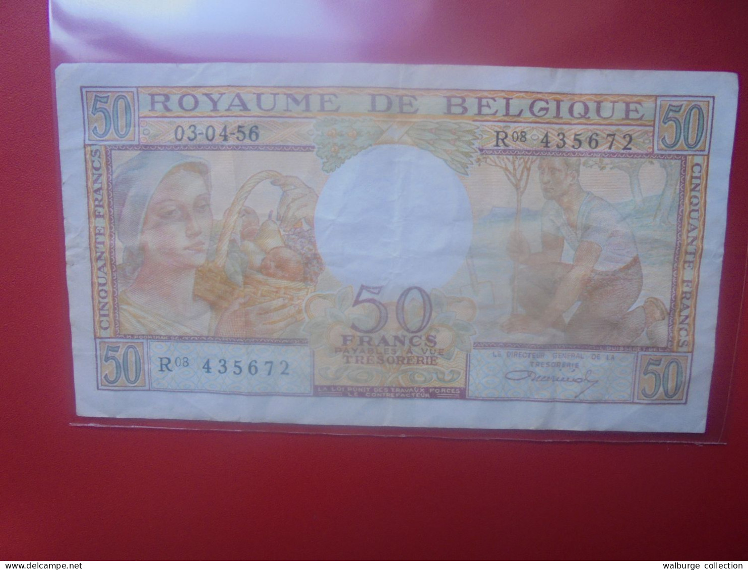 BELGIQUE 50 Francs 1956 Circuler (B.33) - 50 Franchi