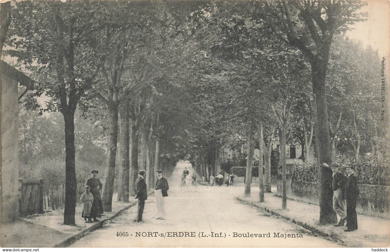 NORT SUR ERDRE : BOULEVARD MAJENTA - Nort Sur Erdre