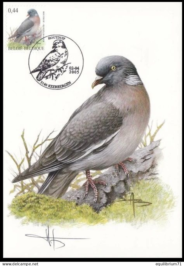 CM/MK° - Pigeon Ramier / Houtduif / Holztaube / Wood Pigeon - Keerbergen - 02-04-2005 - BUZIN - BUZIN - SIGNÉ/GETEKEND - Pigeons & Columbiformes