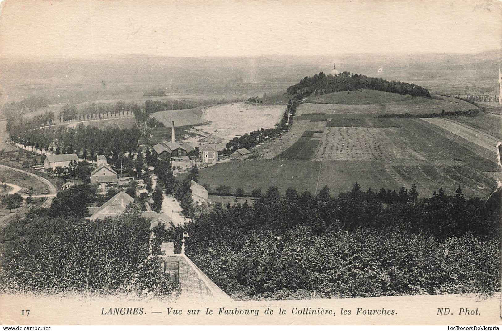 FRANCE - Langres - Vue Générale Sur Le Faubourg De La Collinière Les Fourches - Carte Postale Ancienne - Langres
