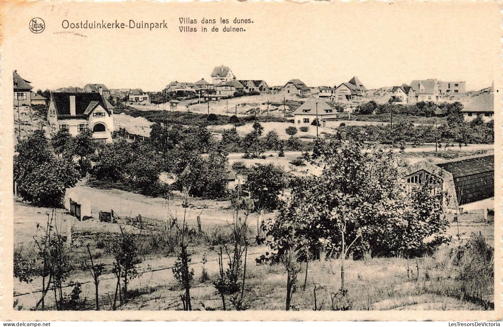 BELGIQUE - Ostduinkerke Duinpark - Vue Sur Les Villas Dans Les Dunes - Carte Postale Ancienne - Oostduinkerke