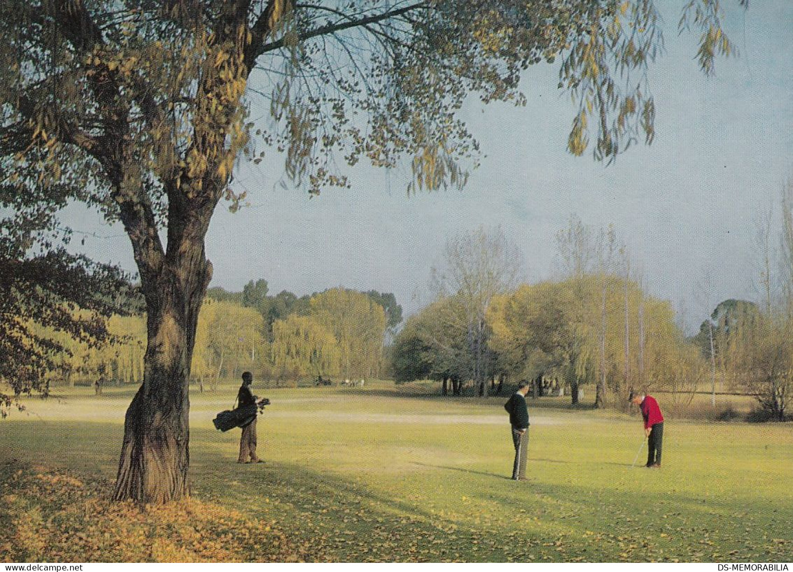 GOLF Course South Africa South African Airways Airline Issue Postcard - Golf