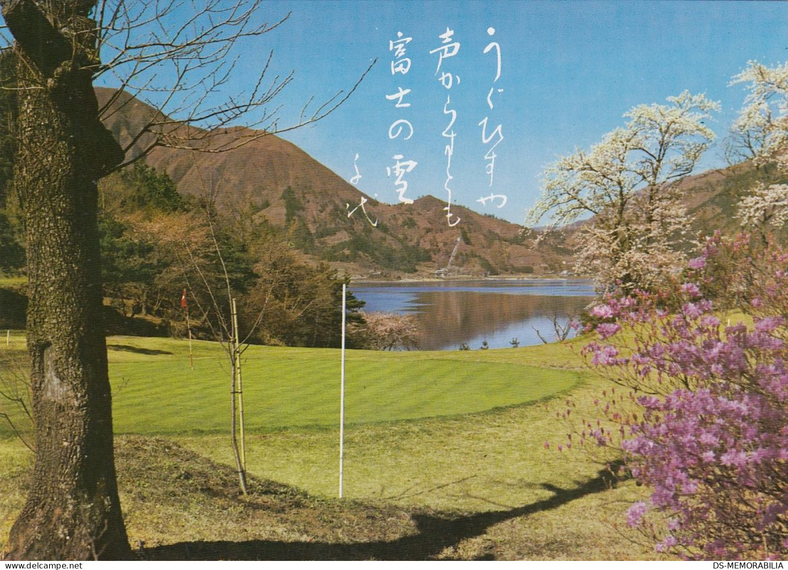 GOLF Course Kawaguchi Japan - Golf