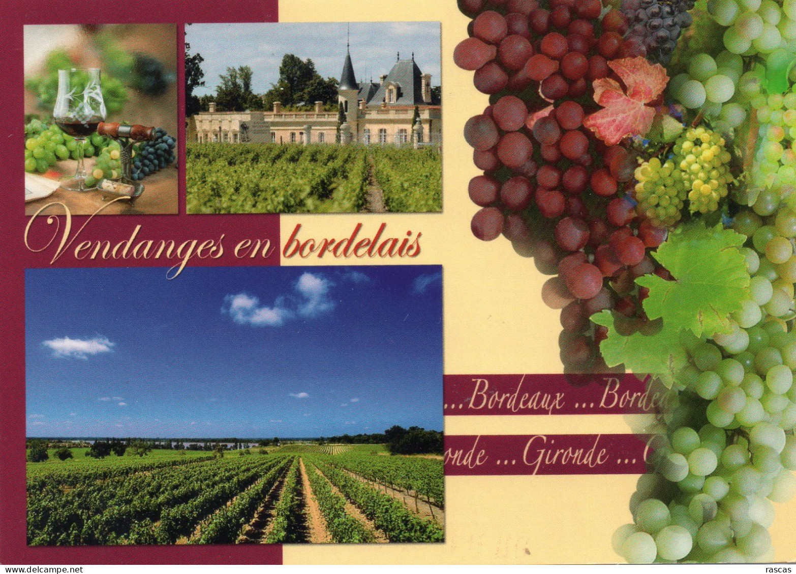 CPM - D  - GIRONDE - VENDANGES EN BORDELAIS - CHATEAU MAROJALLIA - VILLAGE DE MARGAUX - AOC MARGAUX - VIGNOBLE BORDELAIS - Margaux