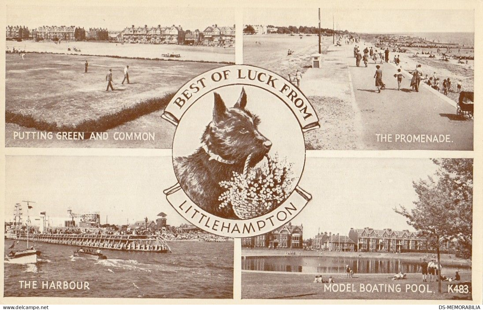 GOLF Course In Littlehampton England Old Postcard Scottie Dog - Golf