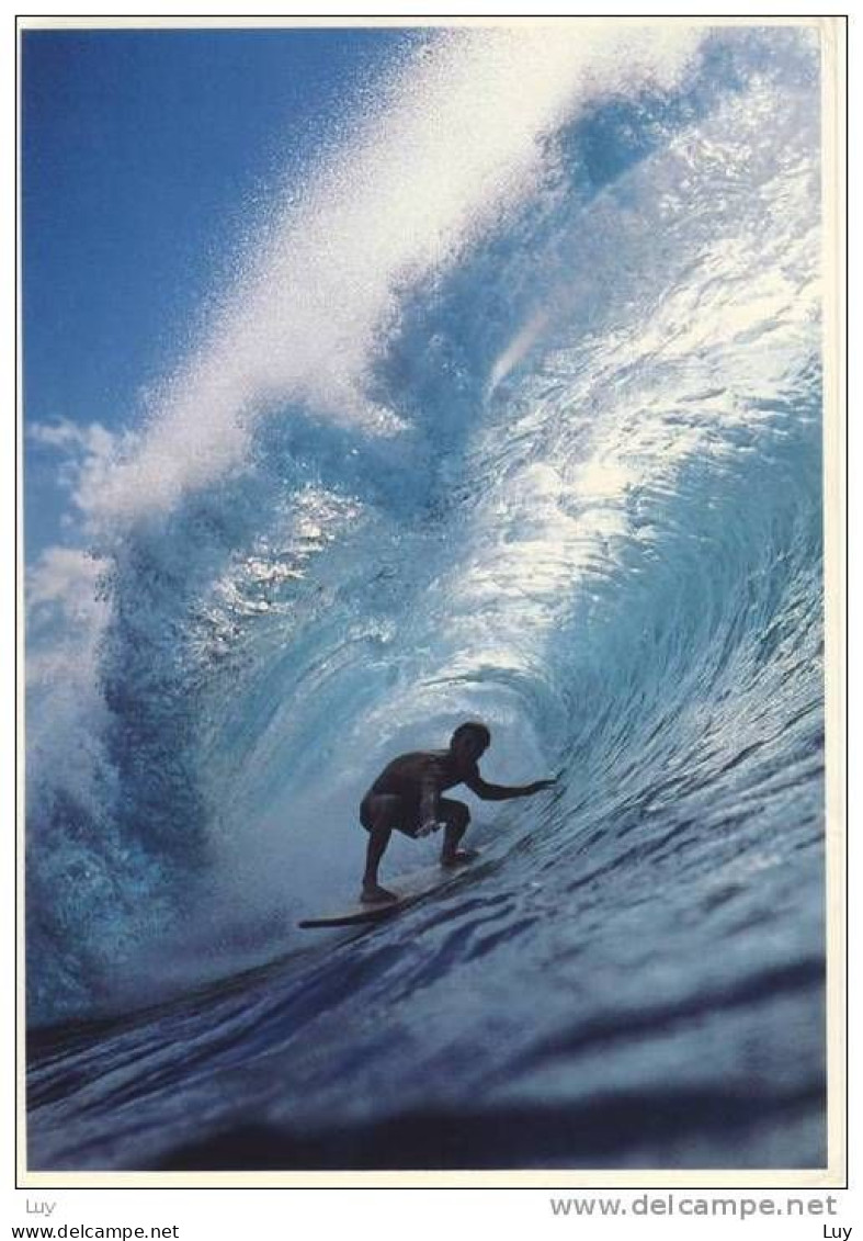 Surfing - In The Pipeline - John Wagner Collection - Water-skiing