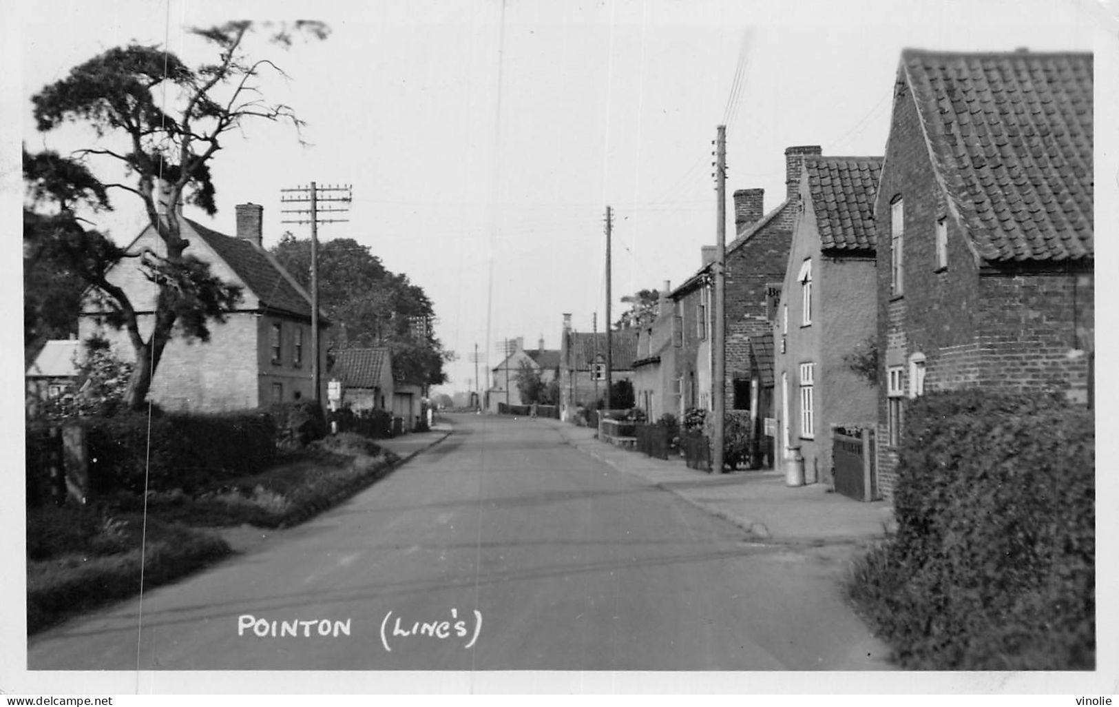 24-2443 : POINTON (LINC'S) - Autres & Non Classés